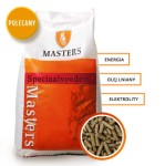 MASTERS Prestatie 20kg pasza wysokoenergetyczna z elektrolitami