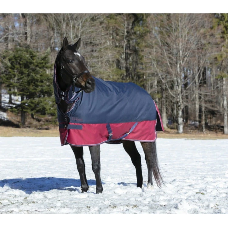 equitheme-tyrex-1200-d-combo-turnout-rug (1).jpg