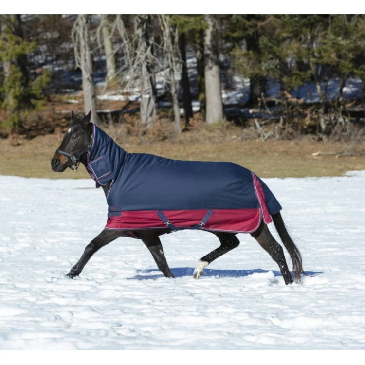 equitheme-tyrex-1200-d-combo-turnout-rug (2).jpg