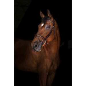 Ogłowie skórzane "Londres"