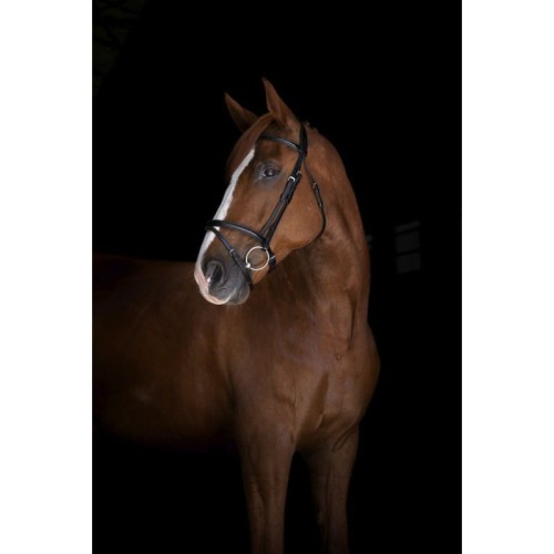 eric-thomas-elite-londres-bridle.jpg