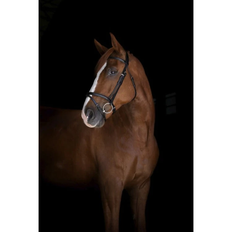eric-thomas-elite-londres-bridle.jpg