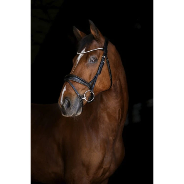 eric-thomas-elite-munich-bridle.jpg