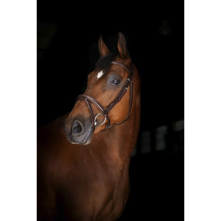 eric-thomas-elite-paris-bridle.jpg