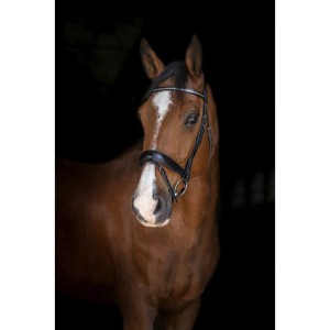 Ogłowie skórzane Eric Thomas Elite "Stuttgart"