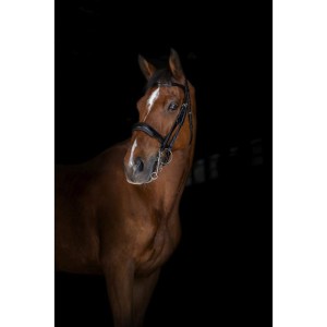 Ogłowie skórzane munsztukowe Eric Thomas "Elite"