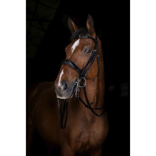 eric-thomas-elite-bridle-reins-13-mm.jpg