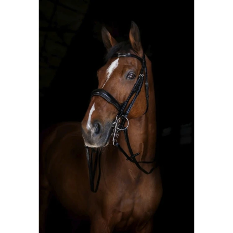 eric-thomas-elite-bridle-reins-13-mm.jpg