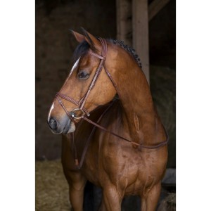 Ogłowie Eric Thomas "Hybrid Confort"