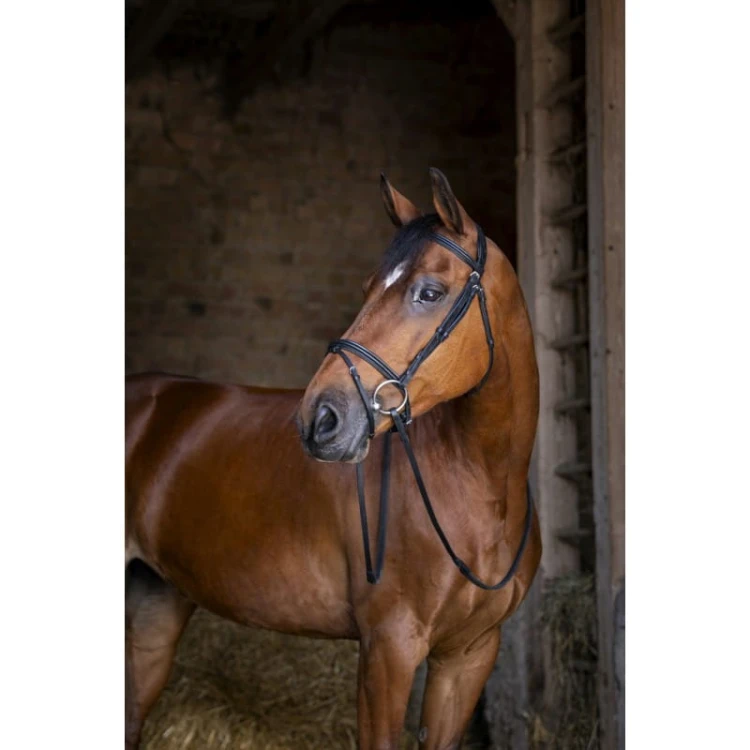 eric-thomas-hybrid-confort-bridle.jpg