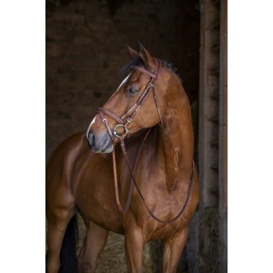 Ogłowie Eric Thomas "Hybrid Forme"