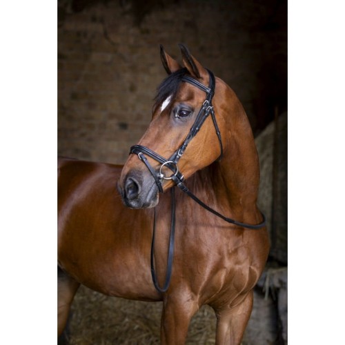 eric-thomas-hybrid-forme-bridle.jpg