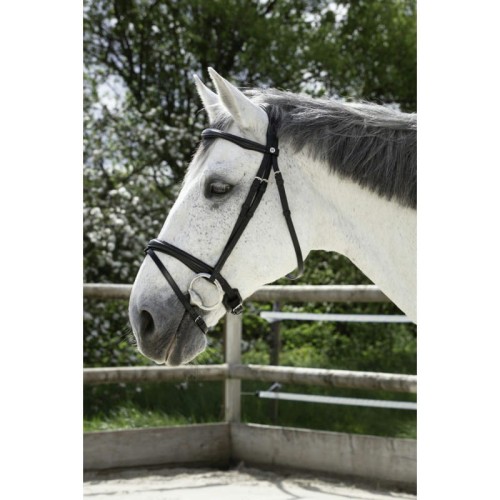 norton-pro-combinee-bridle.jpg