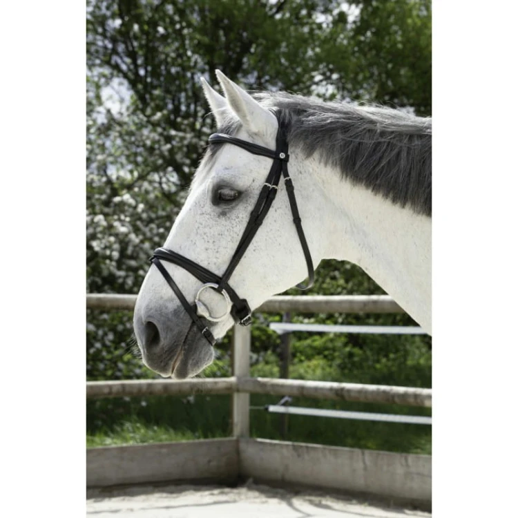 norton-pro-combinee-bridle.jpg