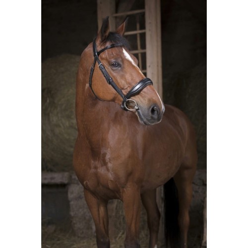 Ogłowie Norton "Confort"