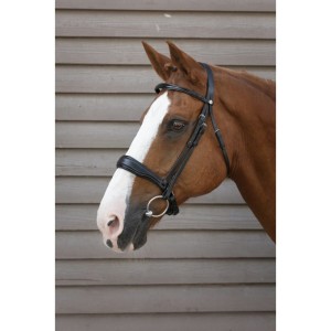 Ogłowie Norton "Confort"