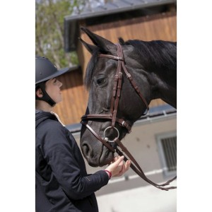 Ogłowie Norton "Essentiel"