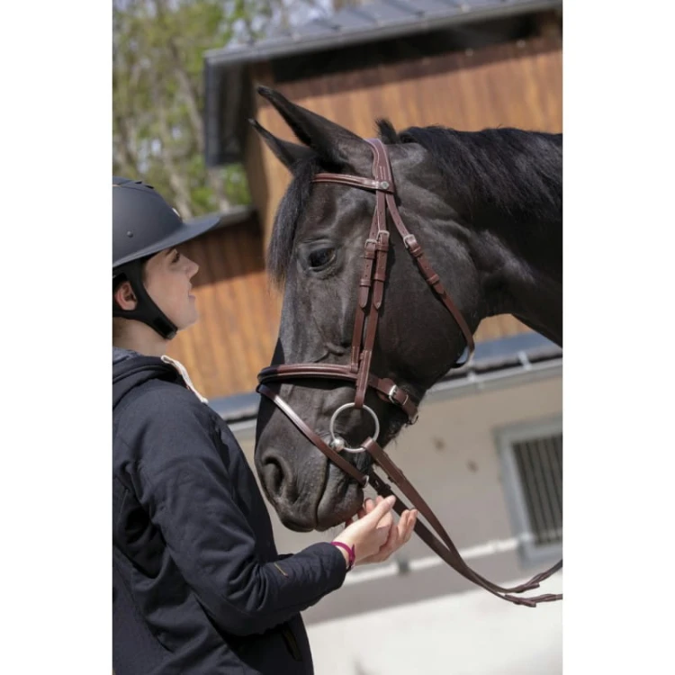 norton-pro-essentiel-bridle (3).jpg
