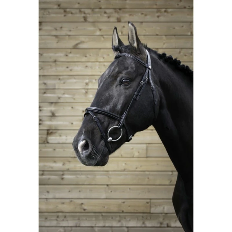 norton-pro-fin-bridle.jpg