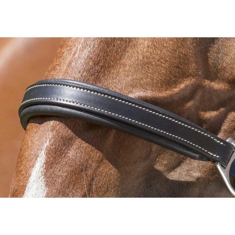 norton-pro-grooming-leather-halter (2).jpg