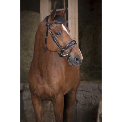 norton-pro-soft-bridle (1).jpg