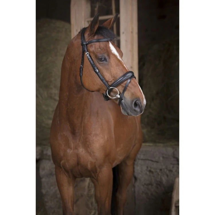 norton-pro-soft-bridle (1).jpg