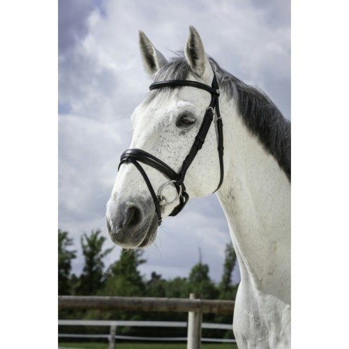 norton-pro-soft-bridle.jpg