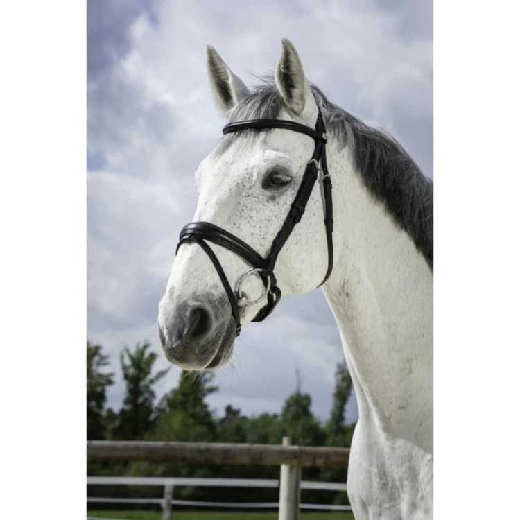 norton-pro-soft-bridle.jpg