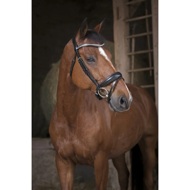 norton-pro-strass-bridle.jpg