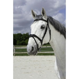 Ogłowie Norton "Vague"