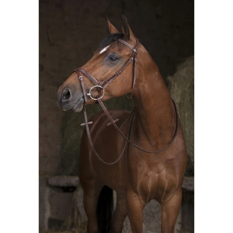norton-pro-hunter-reins-16-mm (2).jpg