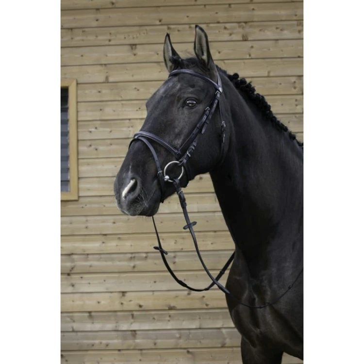 riding-world-muserolle-combinee-bridle.jpg