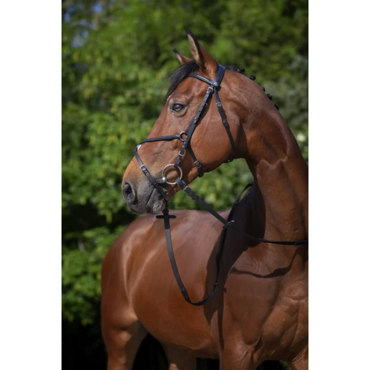 riding-world-muserolle-croisee-bridle (2).jpg