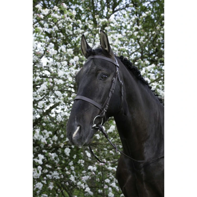 riding-world-muserolle-francaise-bridle (1).jpg