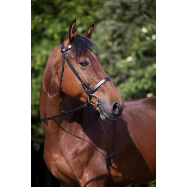 riding-world-muserolle-francaise-bridle (2).jpg