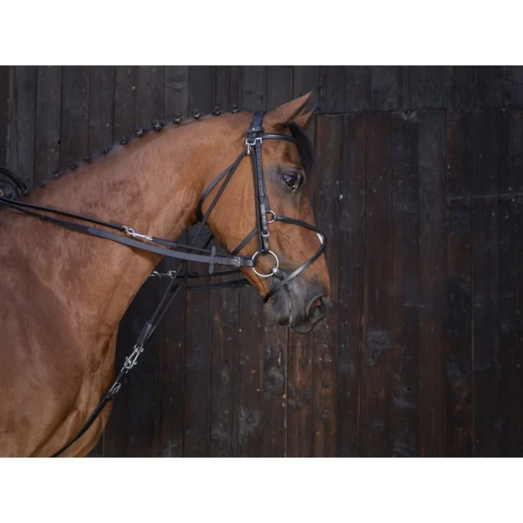 riding-world-leather-gogue-reins (2).jpg