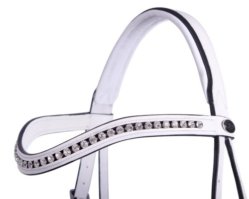 2518wi_browband.jpg