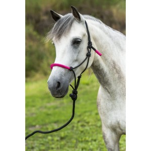 Kantar sznurkowy z liną "Fun Colour"