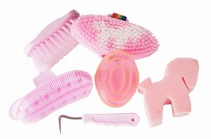 Zestaw szczotek w torbie Horka "Hearts"