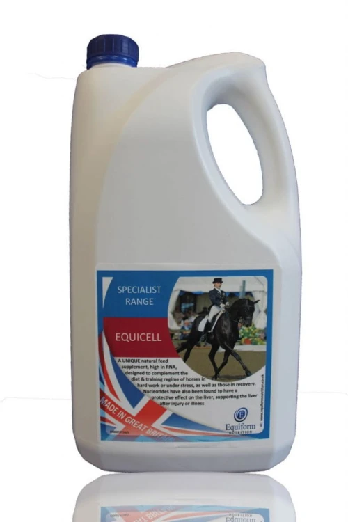 Equicell-683x1024.jpg