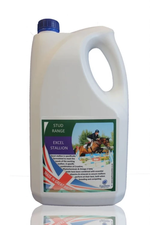 Excel-Stallion-683x1024.jpg