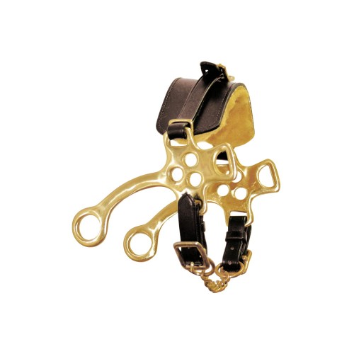 Hackamore