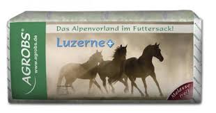 Luzerne-plus.jpg