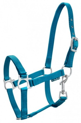 Kantar dla źrebiąt