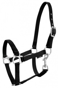 Kantar dla źrebiąt