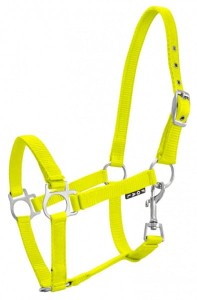 Kantar dla źrebiąt