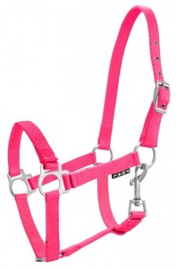 Kantar dla źrebiąt