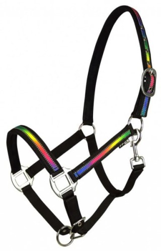 Kantar "Rainbow Reflect"