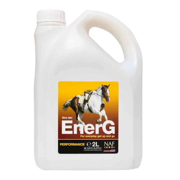 energ-2l_f3_20190607144837.jpg