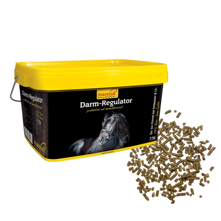 Darm-Regulator.jpg